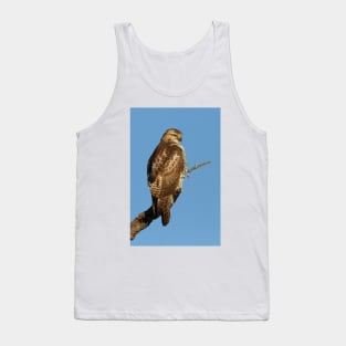 Red-tailed Hawk - juvenile Tank Top